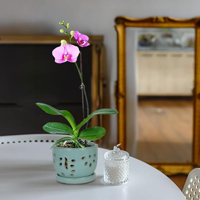 W&W Orchid Pot with Holes and Saucer for Repotting, Turquoise, 5.8 Inches