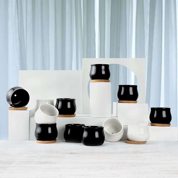 8 Pack Succulent Plant Pot, Matte Black Mini 2.6 inch Ceramic Flower Planter Pot with Bamboo Tray, Small Pots for Plants, Plants Not Included