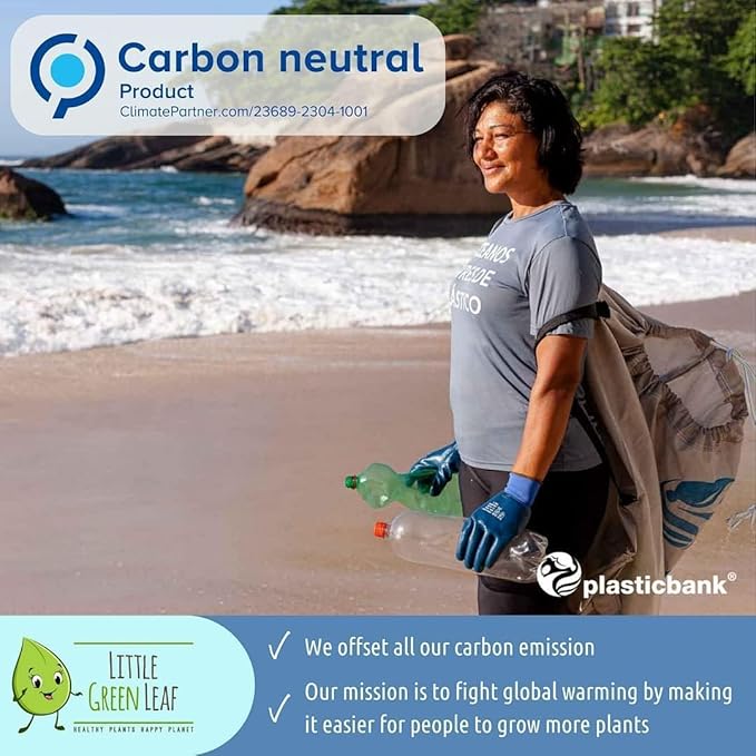 LGL Mushroom Plant Watering Globes - 4 Pieces Clear Rainbow. Decorative Self Watering Planter Inserts. Hand-Blown Durable Glass. Ideal Plant Lover Gift (4pk Medium)