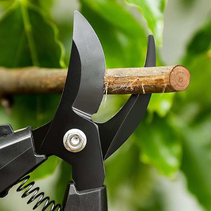 GROWNEER Bypass Pruning Shears, 8 Inch Teflon Coated Plant Scissors, Hand Pruners for Gardening, Garden Clippers Handheld, Hedge Trimmers with Sap Groove and Lanyard for Branch, Flower, Bonsai