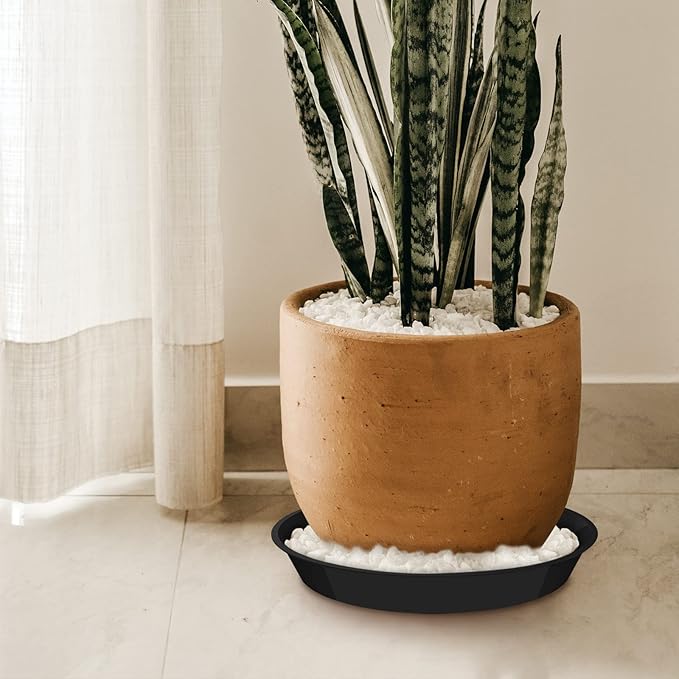 6 Pack Plant Saucer 4 6 8 10 12 14 16 18 20 22 Inch Plastic Plant Tray, Sturdy and Durable Flower Pot Container Accessories Plant Pot Saucers for Indoor and Outdoor (12 Inch, Black)