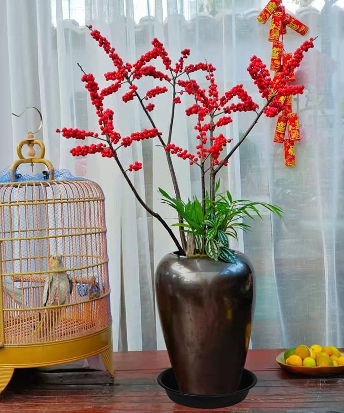 6 Pack Plastic Plant Saucer Water Drip Tray, 4 5 6 7 8 9 10 11 12 13 15 17 19 inch, Heavy Sturdy Plant Drainage Tray for Indoors Outdoor, Flower Saucers for Pots Base (4", Black)