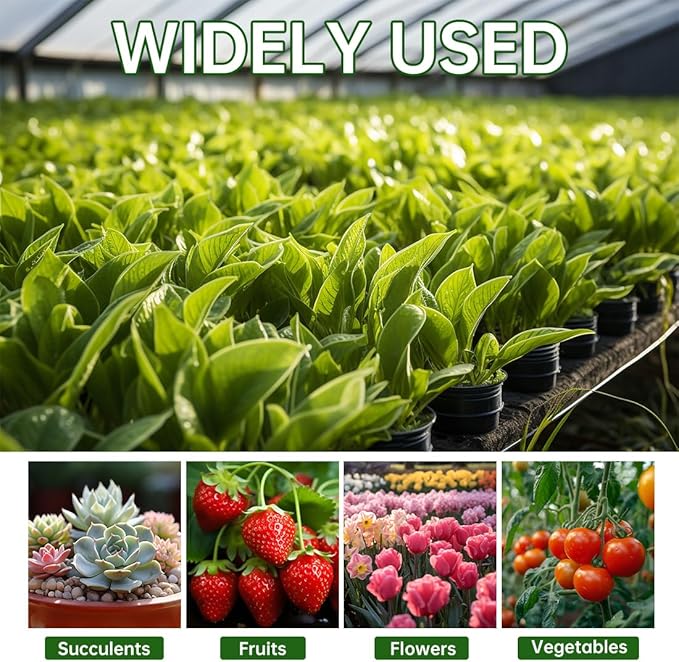 100 Pack 4 Inch Clear Nursery Pots with Mesh Pad for Plants Seeding Starter and Germination, Seed Starting Pots Transparent Soft Plastic Plant Pots with Drainage Holes (100 Pcs 4 Inch)