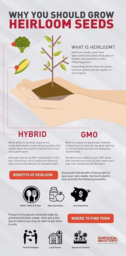 100 Assorted Heirloom Vegetable Seeds 100% Non-GMO (100, Deluxe Assorted Vegetable Seeds)