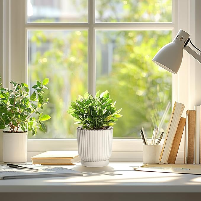 T4U 4.5 Inch Self Watering Pots for Indoor Plants, 6 Pack White Plastic Flower Pots for All House Plants, Flowers, African Violets