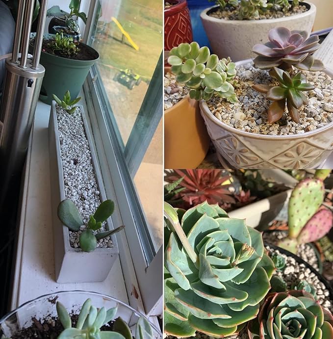 Horticultural Pumice for Plants Professional Sifted (50 QT, 1/4 inch)