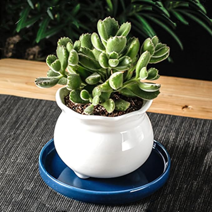 Ceramic Plant Saucer 5 Inch, 2 Pack Round Plant Saucers for Indoors/Outdoors, Flower Pot Saucers for Holding Water Drips and Soil, Ceramic Drainage Tray for Plant Pot (Blue)