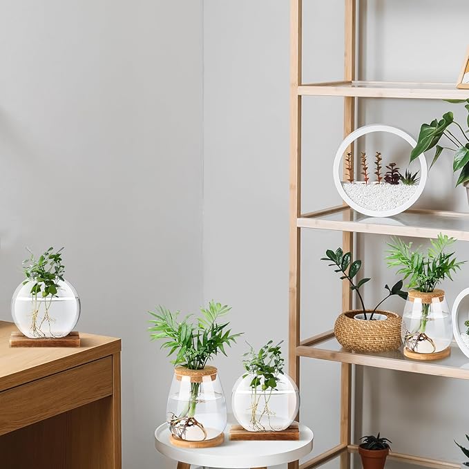 Layhit 4 Pcs Plants Propagation Stations Separated Desktop Plant Terrarium Glass Planter Vase with Wooden Lid and Bamboo Stand for Growing Hydroponic Home Office Tabletop Decoration (Cute Style)