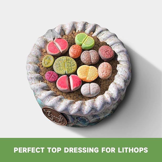 5lb Hard Akadama Bonsai Soil 1/8-1/4 inch Small Grain for Cactus, Succulents, Bonsai Plants Soil Amendment, Prevent Over Water, Provides Optimal Water Retention, Fast Drainage