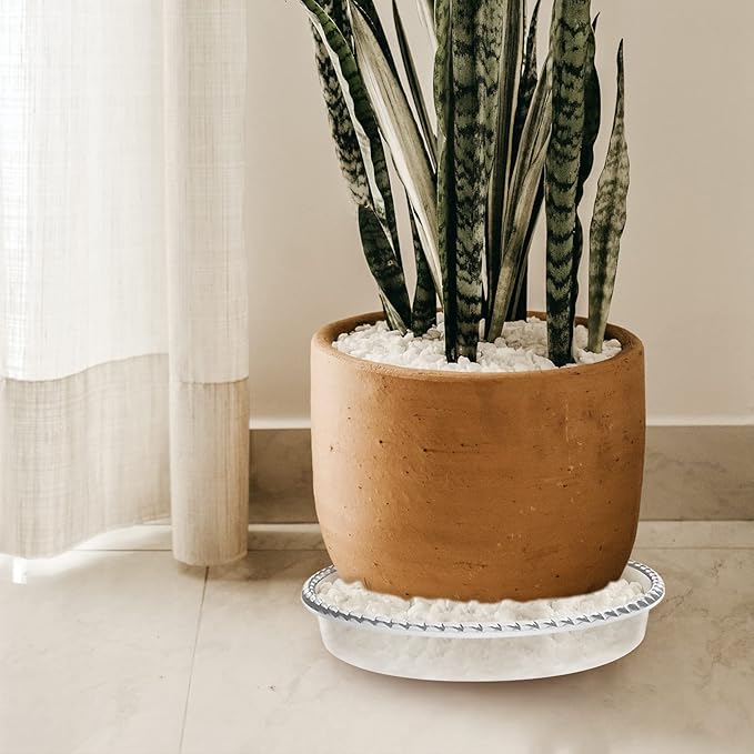 6 Pack Plant Saucer 6 8 10 12 14 Inch Plastic Plant Tray, Sturdy and Durable Flower Pot Container Accessories Plant Pot Saucers for Indoor and Outdoor (14 Inch, Clear)