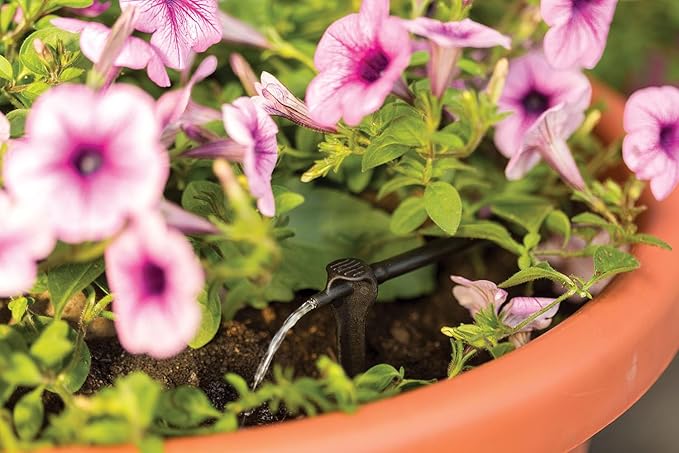 Rain Bird SD24PKSX Drip Irrigation 2-in-1 Staked In-Line Dripper/Emitter, 2 Gallon Per Hour, 4-Pack