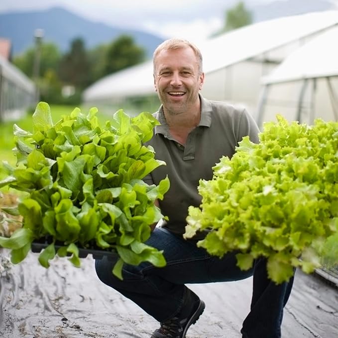 72-Hole Seed Tray Dibber – Plastic Soil Digger and Seed Spacer for Planting Seeds and Bulbs, Seedling Tray Soil Garden Tool, Gift for Gardener.