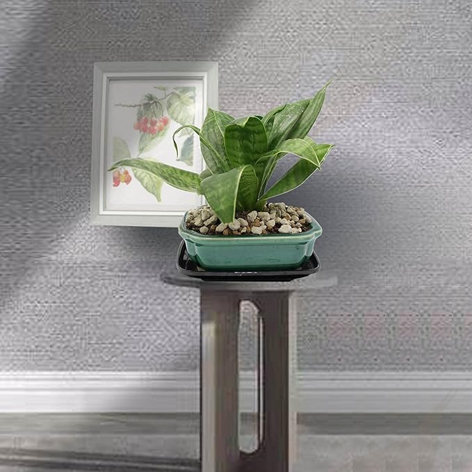 FFPOPU 3-Packs Ceramic Bonsai Pots with Drainage Tray, 6-inch Cute Bonsai Tree Pot with Ice Cracked Glaze, Small Bonsai Planter Pot for Desktop Decoration