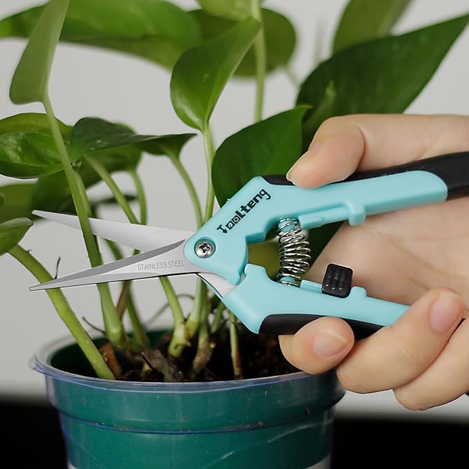 6 Packs Pruning Shears, Garden Trimming Scissors, Gardening Hand Pruning Snips, Titanium Coated Precision Bonsai Pruning Shears, Convenient and Efficient Flower Cutters (Blue)