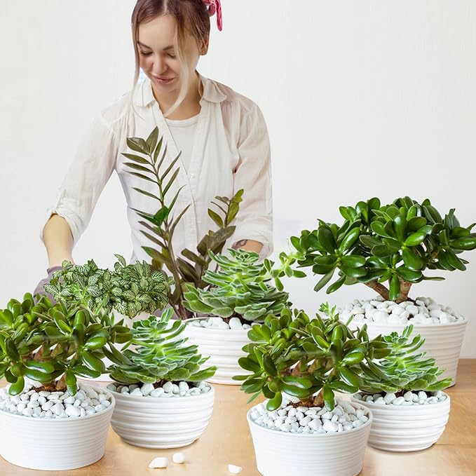 Organic Chunky Perlite for Plants (0.4"-0.8" in Diameter), Natural Horticultural Soil Additive Conditioner Mix, Improve Drainage and Ventilation, Enhance Soil Health and Root Growth (10 Quarts)