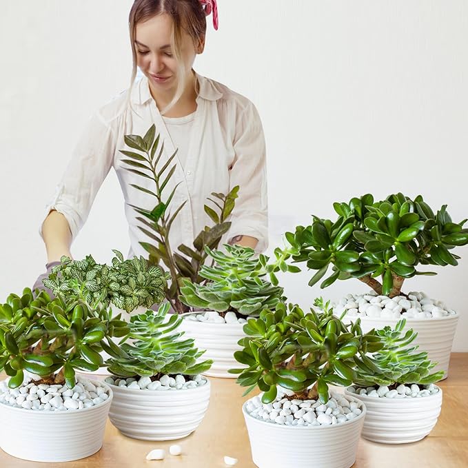 Organic Chunky Perlite for Plants (0.4"-0.8" in Diameter), Natural Horticultural Soil Additive Conditioner Mix, Improve Drainage and Ventilation, Enhance Soil Health and Root Growth (4 Quarts)