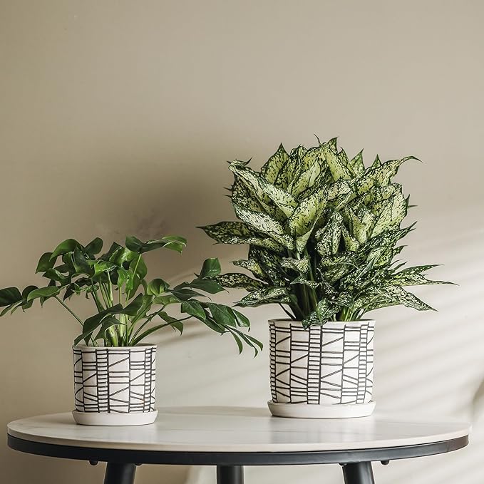 8 Inch Plant Pot: Ceramic Planter with Drainage Hole & Saucer for Indoor Outdoor Plants - Flowerpot with Bonded Tray for Home Office - Striped Debossed