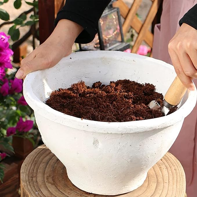 Coco Coir Brick for Plants-2 Pack Premium 100% Organic Peat Moss Mix with Low EC & pH Balance Plant Soil Enhance Root