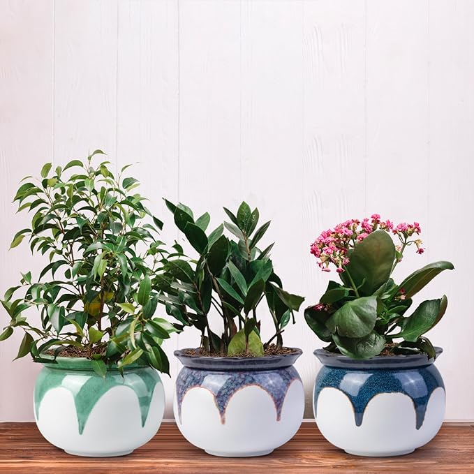 African Violet Pots,6 Inch Self Watering Pots for Indoor Plants,Easy Plant Self Watering Planter, Ceramic Plant Pot with Absorbent Inner Pot for Flowers - Gradient Blue