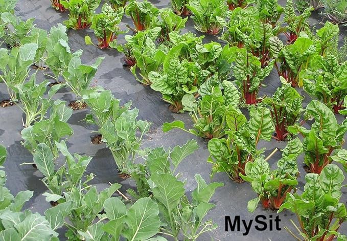 MySit 6" Galvanized Landscape Staples Garden Stakes Pins 24 Pack, Heavy-Duty 11 Gauge Garden Staples Anti-Rust Fence Stakes for Anchoring Weed Barrier Fabric Irrigation Tubing Soaker Hose