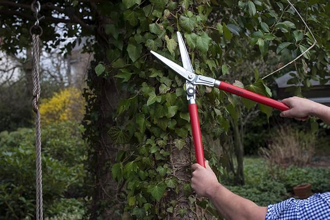 BERGER Boxwood Shears, Self-Sharpening Blade and Beech Wood Handles