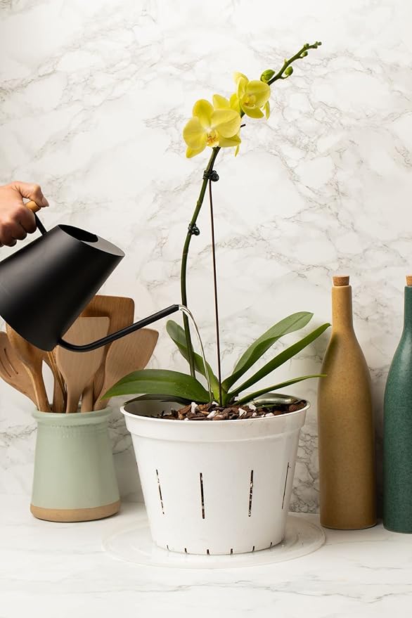 rePotme 10 inch Slotted Clear Pots - 3 Pack (Cloud White)