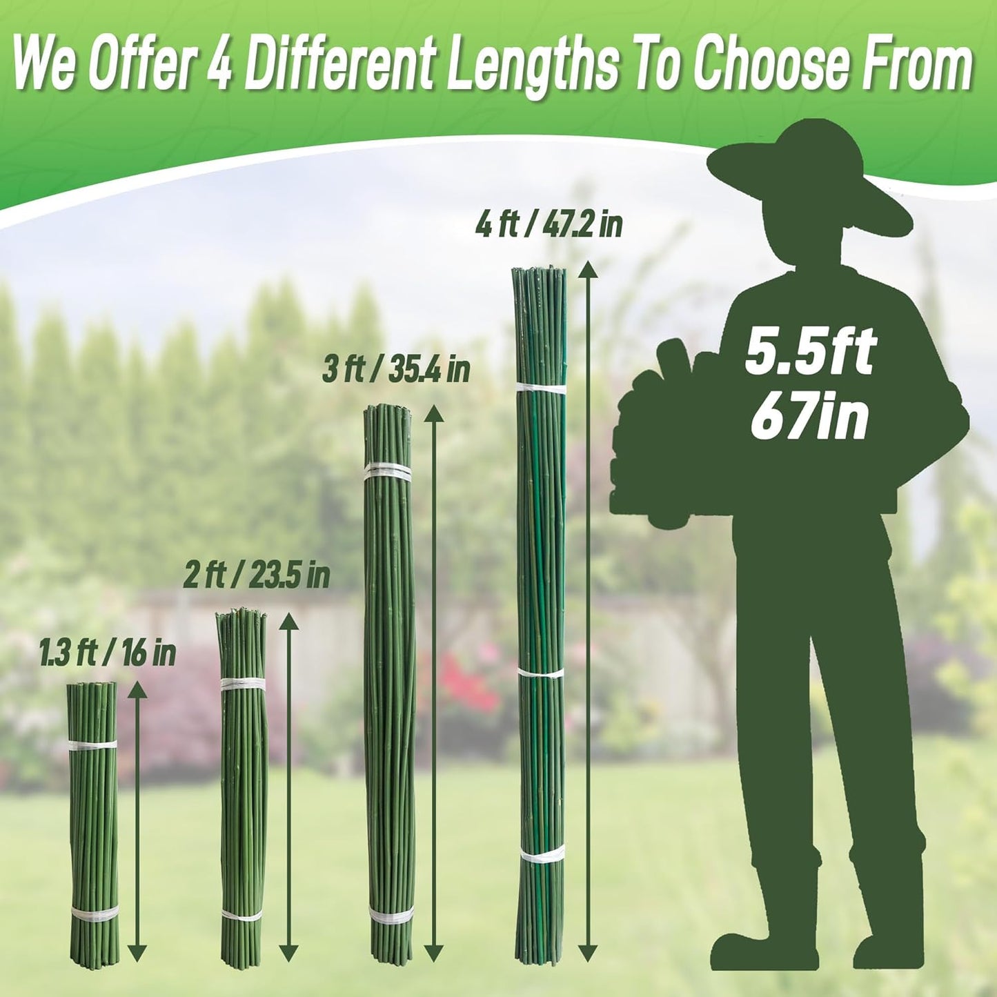 50Pcs 3ft Bamboo Sticks for Indoor Outdoor Plants, 0.29"-0.38" Natural Bamboo Poles, Durable Garden Stakes for Tomatoes, Beans, Flowers and Potted Plants