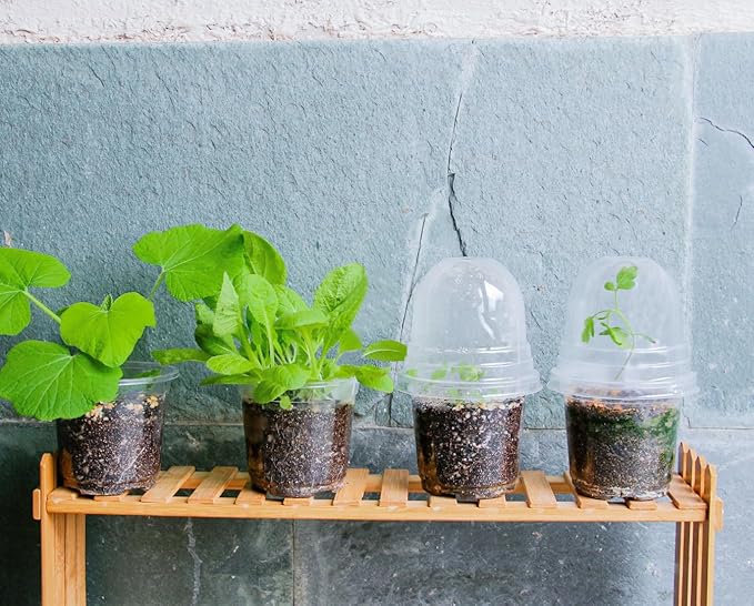 30 Packs 4 Inch Reinforced Clear Nursery Pots with Humidity Dome, Transparent Variety Pack Plastic Plant Pot Seedling Planter Seed Starter Flower