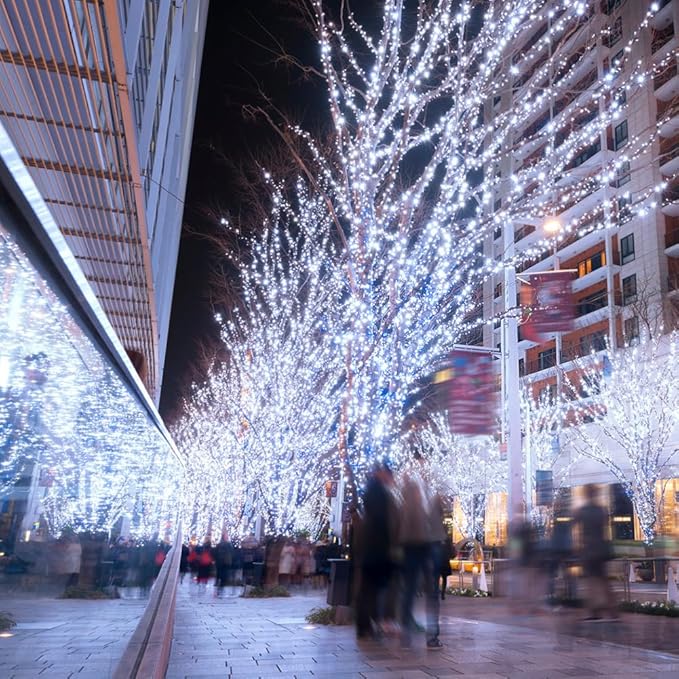 Fairy Lights Plug in,100FT 600 LEDs Waterproof String Lights,Twinkle Light with Remote for Outdoor Indoor Christmas Wedding Birthday Garden Party Decorations,2 Inch Space,Cool White