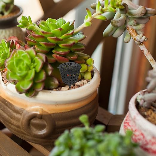 Happyyami 100PCS Portable Bonsai Fertilizer Box with Lid - Practical Fertilizer Container for Orchids and Succulents - Slow Release Bonsai Plant Food Gardening Tool (Black)