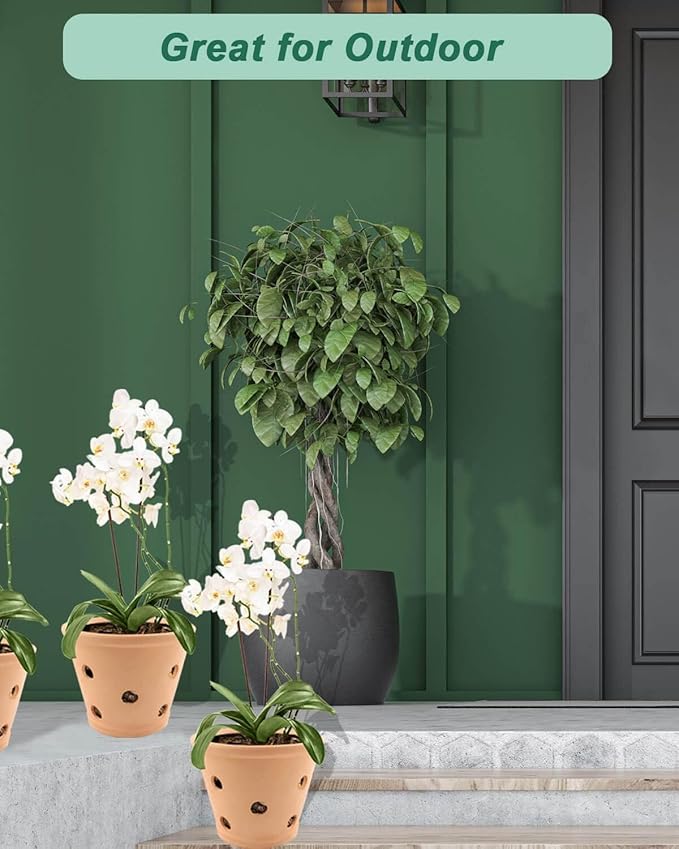 vensovo 8 Inch Terracotta Orchid Pots with Holes and Saucers - 2 Pcs Large Clay Planters for Repotting, Terra Cotta Pot for Plants Indoor and Outdoor Promotes Air Circulation