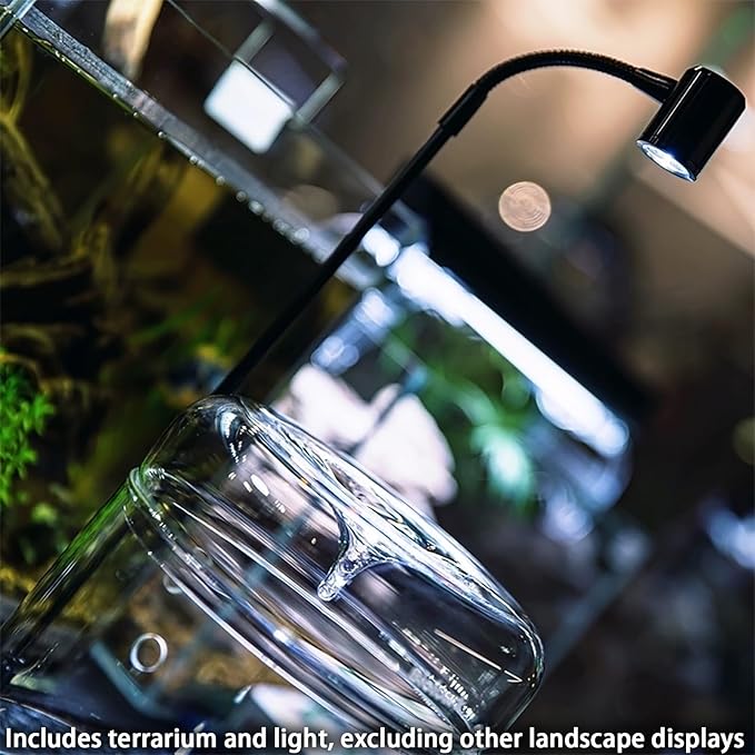 Glass Plant Terrarium 4.7"X7" Inches Succulent Air Planter Fern Moss Micro-Landscape Vase for Home Office Tabletop Decoration Container with Lid Indoor Wardian Copyright Patent(with Light)