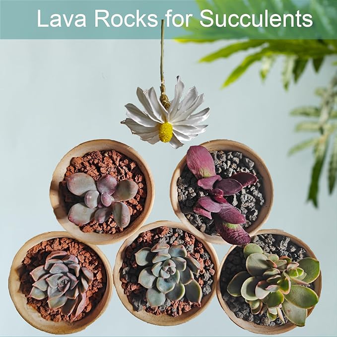 Lava Rocks for Plants, 5lbs Volcanic Stones Gravel Horticultural Drainage Potting Soil for Indoor Outdoor Plants, Succulents, Bonsai, Cactus, Vase Fillers, Top Dressing (5LBS, Black, 1)