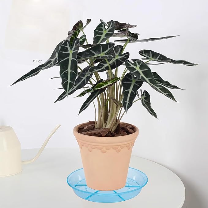 Plant Saucer, Plant Saucers 10 inch 2 Pieces, Plant-Saucers
