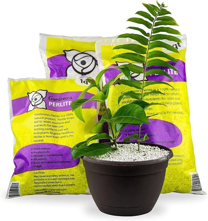 Organic Perlite — Medium/Fine Grade (5qt) Horticultural Soil Amendment for Indoor & Outdoor Container Plants for Drainage Management and Enhanced Growth