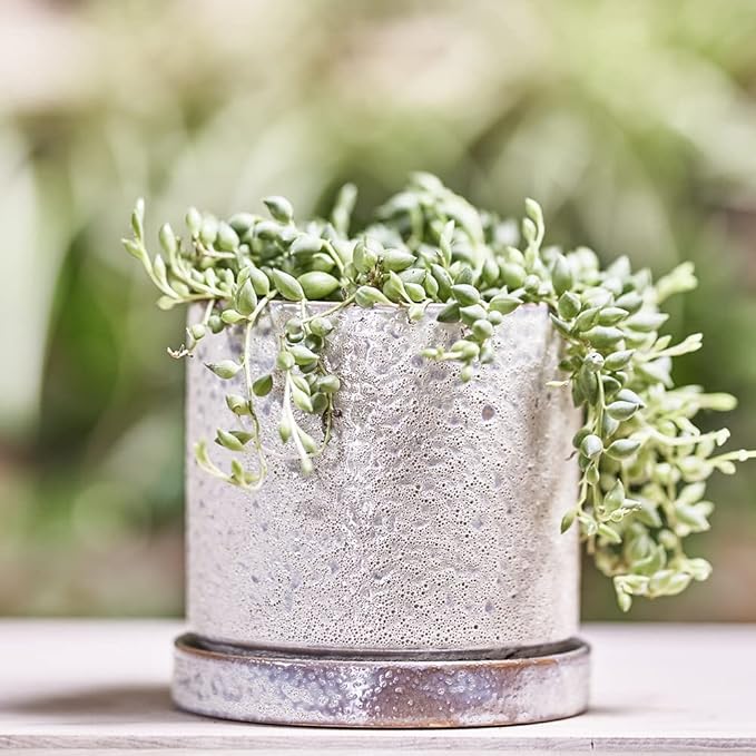 CHIVE ‘Minute’ Ceramic Planter Pot — Cute 5” Colorful Succulent Pots for Indoor & Outdoor House Plants — Beautiful Modern Farmhouse Kitchen Decor — Ivory Speckle