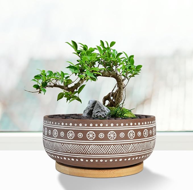 8 Inch Terracotta Succulent Planter Pot with Drainage Hole and Bamboo Tray, Brown Round Shallow Bonsai Pot for Indoor Plants