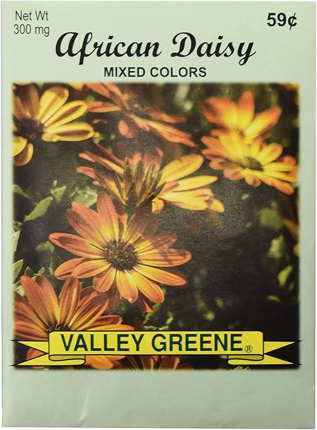 Set of Flower Seed Packets! Flower Seeds in Bulk - Great for Creating The Garden of Your Dreams! (200, African Daisy)