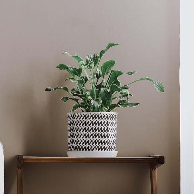 8 Inch Plant Pot: Ceramic Planter with Drainage Hole & Saucer for Indoor Outdoor Plants - Flowerpot with Bonded Tray for Home Office - Wave Stripe Debossed