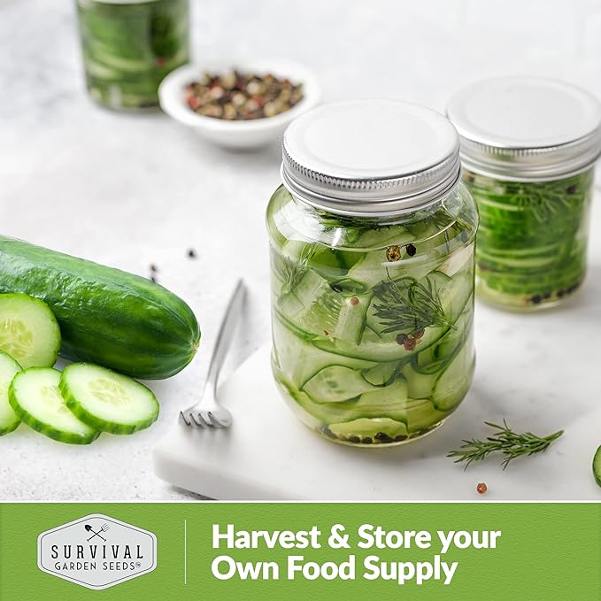 5 Packs Muncher Cucumber Seed for Planting - Packet with Instructions to Grow Burpless Slicing Cucumbers in Your Home Vegetable Garden - Non-GMO Heirloom Variety - Survival Garden Seeds