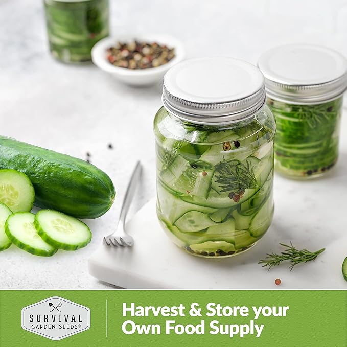 Survival Garden Seeds 1 Pack Muncher Cucumber Seeds for Planting – Seed Packet with Instructions to Grow Burpless Slicing Cucumbers in Your Home Vegetable Garden - Non-GMO Heirloom Variety