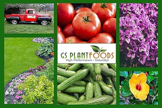 Soil Spice Plant Fertilizer - All Purpose Organic Plant Food by GS Plant Foods (8 oz) - Organic Fertilizer with Compact & Easy to Use Shaker - Great for Herb Gardens, House Plants, Potted Plants