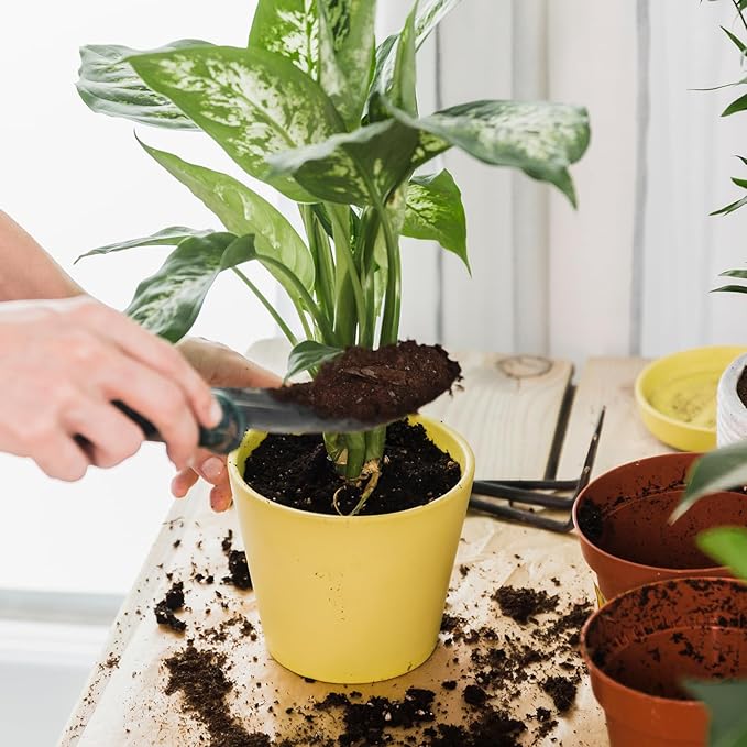 Organic Pothos Soil Mix 4qt, Indoor Plants Potting Mix for All Potted Pothos, Grow Healthy houseplants Indoors