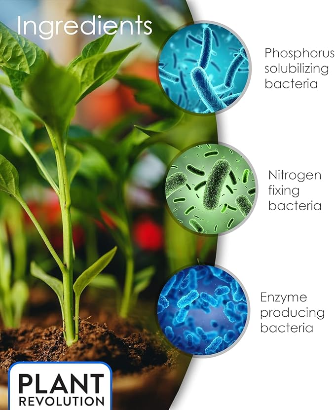 King Crab Instant Compost Tea for Plants, Ultra Concentrated OMRI Organic Bacteria, 275 Million Organisms per ml, Roses, Tomatoes, Houseplants, Soil Conditioner, Soil Activator, Soil Microbes