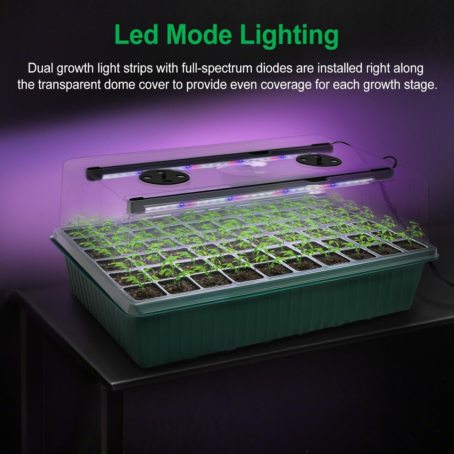 TONYFUL Seed Starter Tray with Grow Light, 60-Cell Seed Starter Kit with 4.07” Humidity Dome, Indoor Seedling Starter Tray, Seed Starting Tray for Plant Germination, Seeds Growing