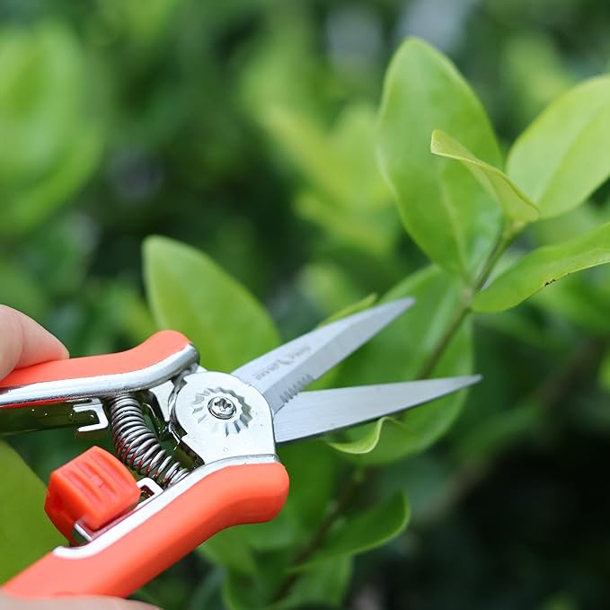 FLORA GUARD 6.5 Inch Micro-Tip Pruning snip Gardening Hand Pruning Shears Trimming Scissors with Stainless Steel(6 pieces