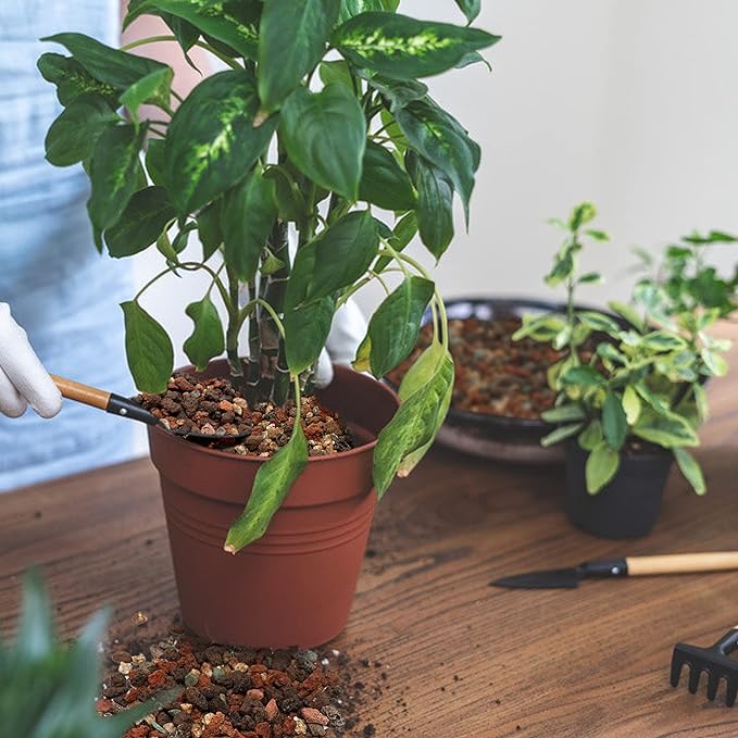 9.7lb Mix Horticultural Lava Rock Pebbles-Decorative Landscaping Gritty Rocks,Pumice Potting Soil Amendment,Additive for Succulent,Cactus Bonsai,Vase Fillers,Terrarium,Fairy Gardening,Top Dressing.