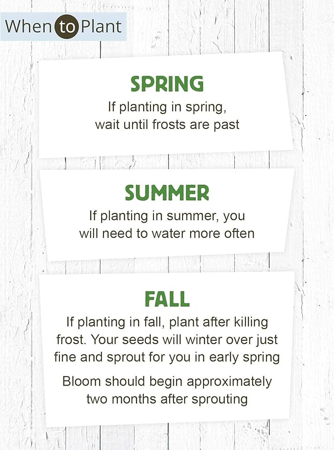 American Meadows Wildflower Seed Packets ''Let Love Grow'' Party Favors (Pack of 20) - Wildflower Seed Mix, Party Favors for Weddings, Valentine's Day, Anniversaries, Thank You