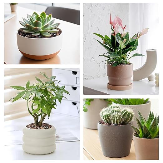 5 lbs Lava Rocks for Plants, 1/5 Inch Pea Gravel for Pots Indoor, Succulent, Terrarium, Cactus, Bamboo, Bonsai Tree, Mixed Color Volcanic Rocks for Top-Dressing, Good Drainage