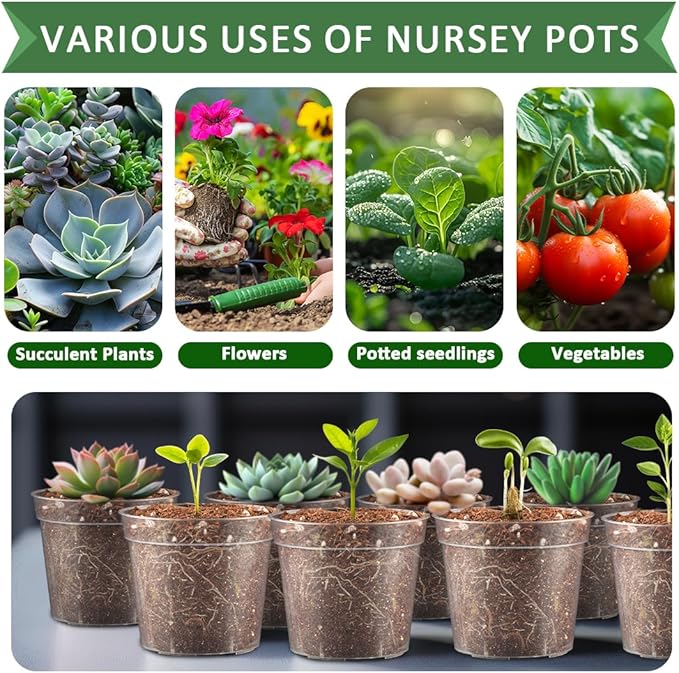 2.5" Clear Seeding Pots 100-Pack Round for Seeds Starter Pots, Seeds Germination Transparent Nursery Pots with Drainage Holes (2.5Inch,100Pcs,Clear)